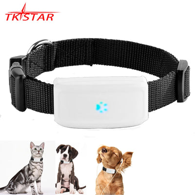 Rastreador GPS 4G para Ganado y Perros — Geocerca y Monitor de Voz