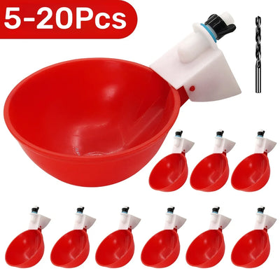 Bebederos Automáticos para Gallinas y Patos — Pack