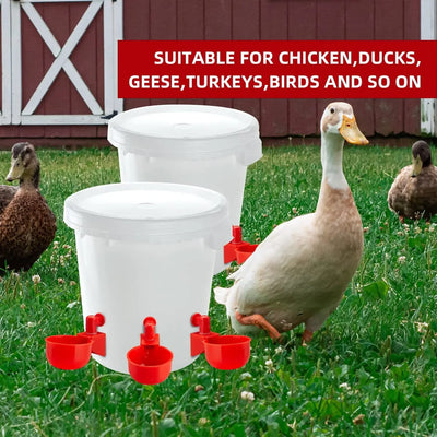 Copa Bebedora Automática para Gallinas — Plástico Resistente