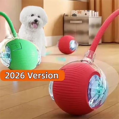 Pelota Interactiva Automática para Perros — Recargable USB